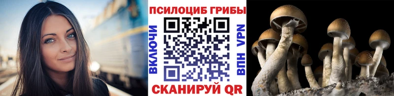 Галлюциногенные грибы мухоморы  купить наркотики сайты  Богучар 